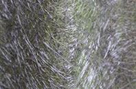 Newbridge On Usk fibreglass roof work